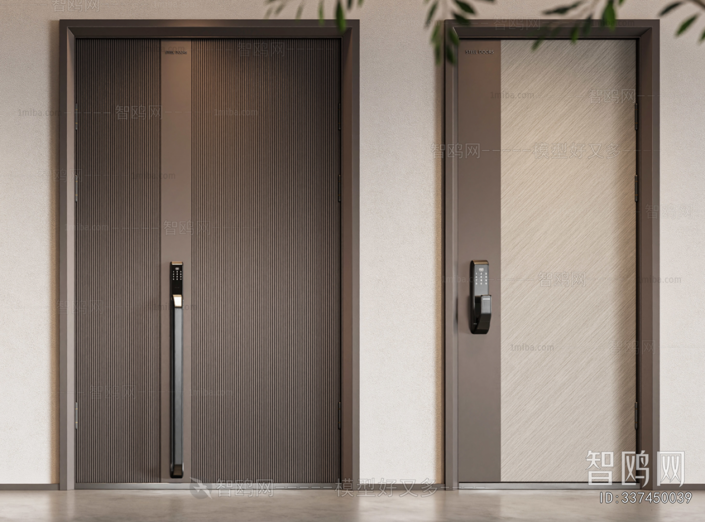 Modern Entrance Door
