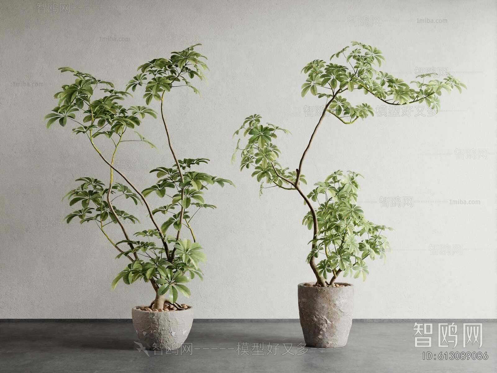 Modern Ground Green Plant Potted Plants