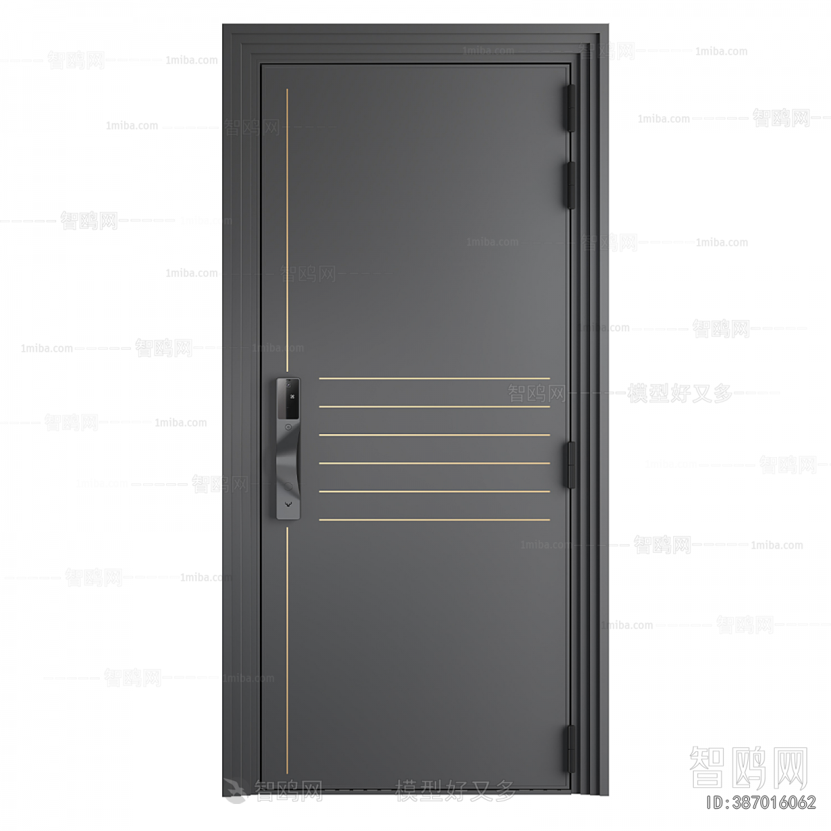 Modern Entrance Door