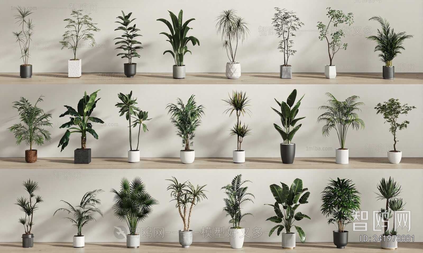 Modern Ground Green Plant Potted Plants