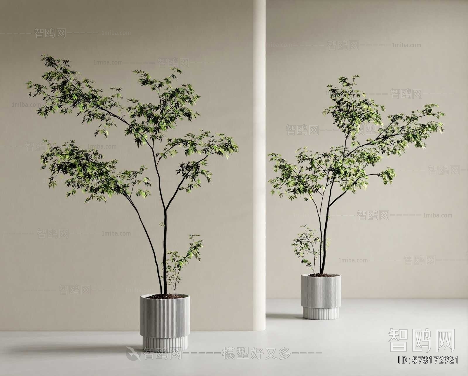 Modern Ground Green Plant Potted Plants