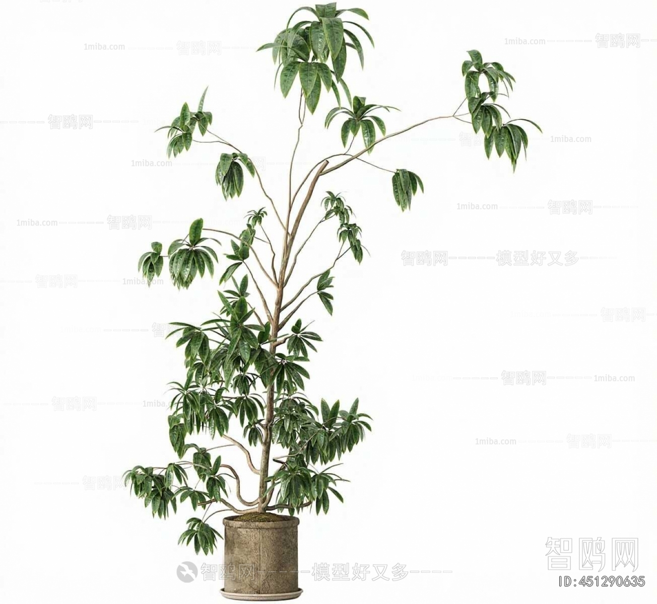 Modern Ground Green Plant Potted Plants