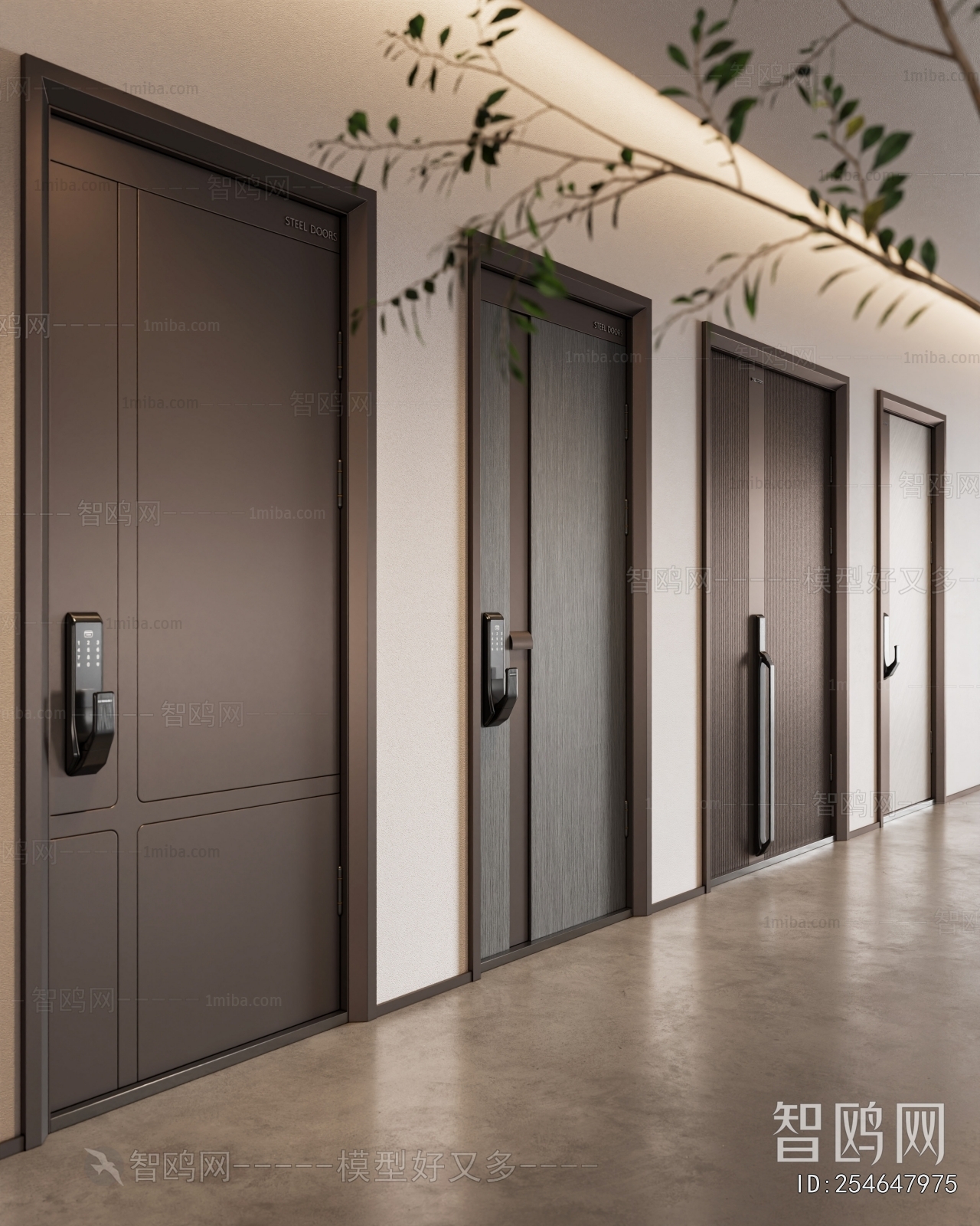 Modern Entrance Door