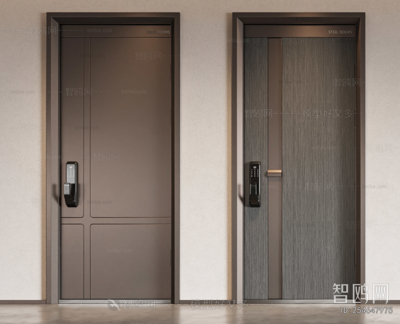 Modern Entrance Door
