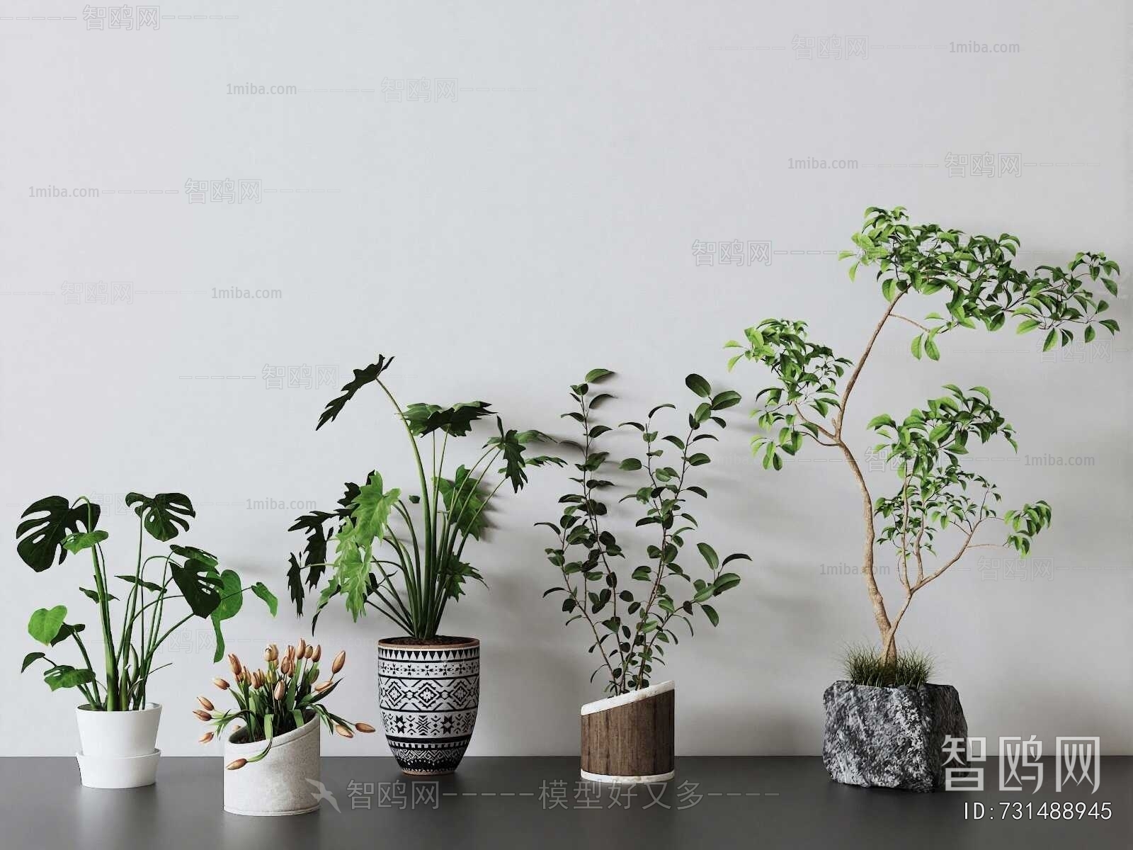 Modern Ground Green Plant Potted Plants