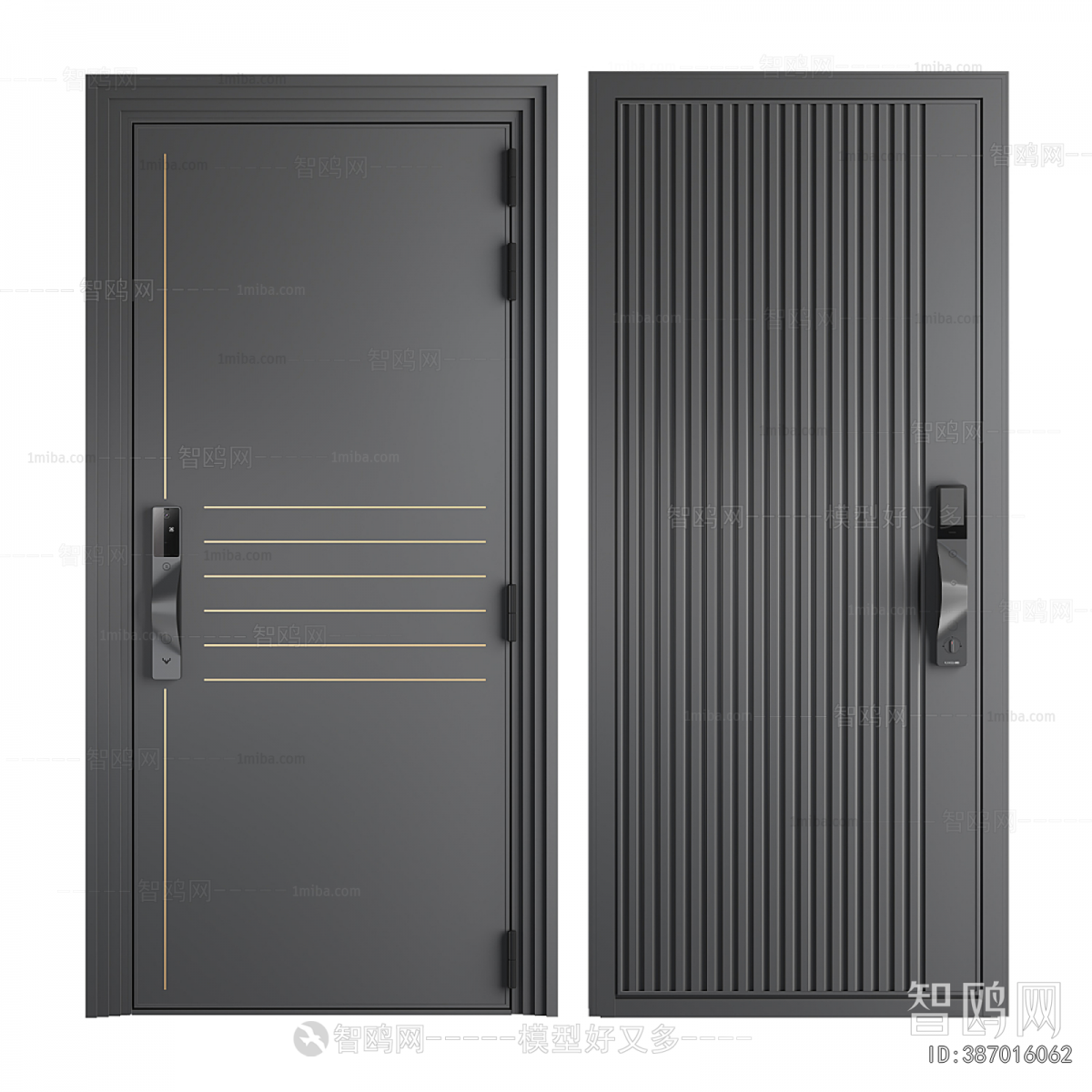 Modern Entrance Door