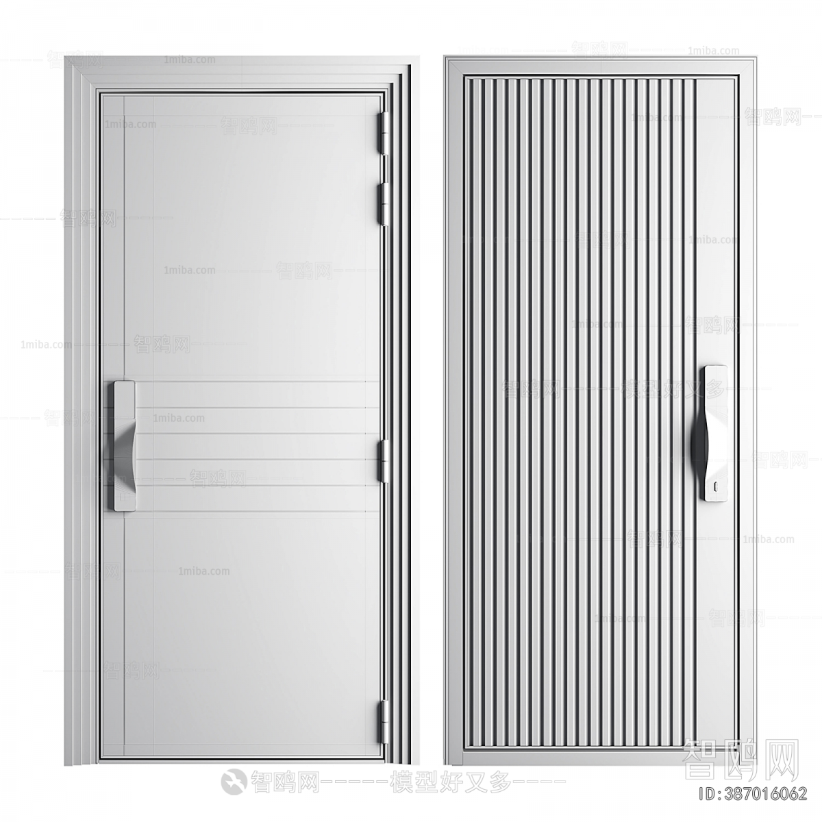 Modern Entrance Door