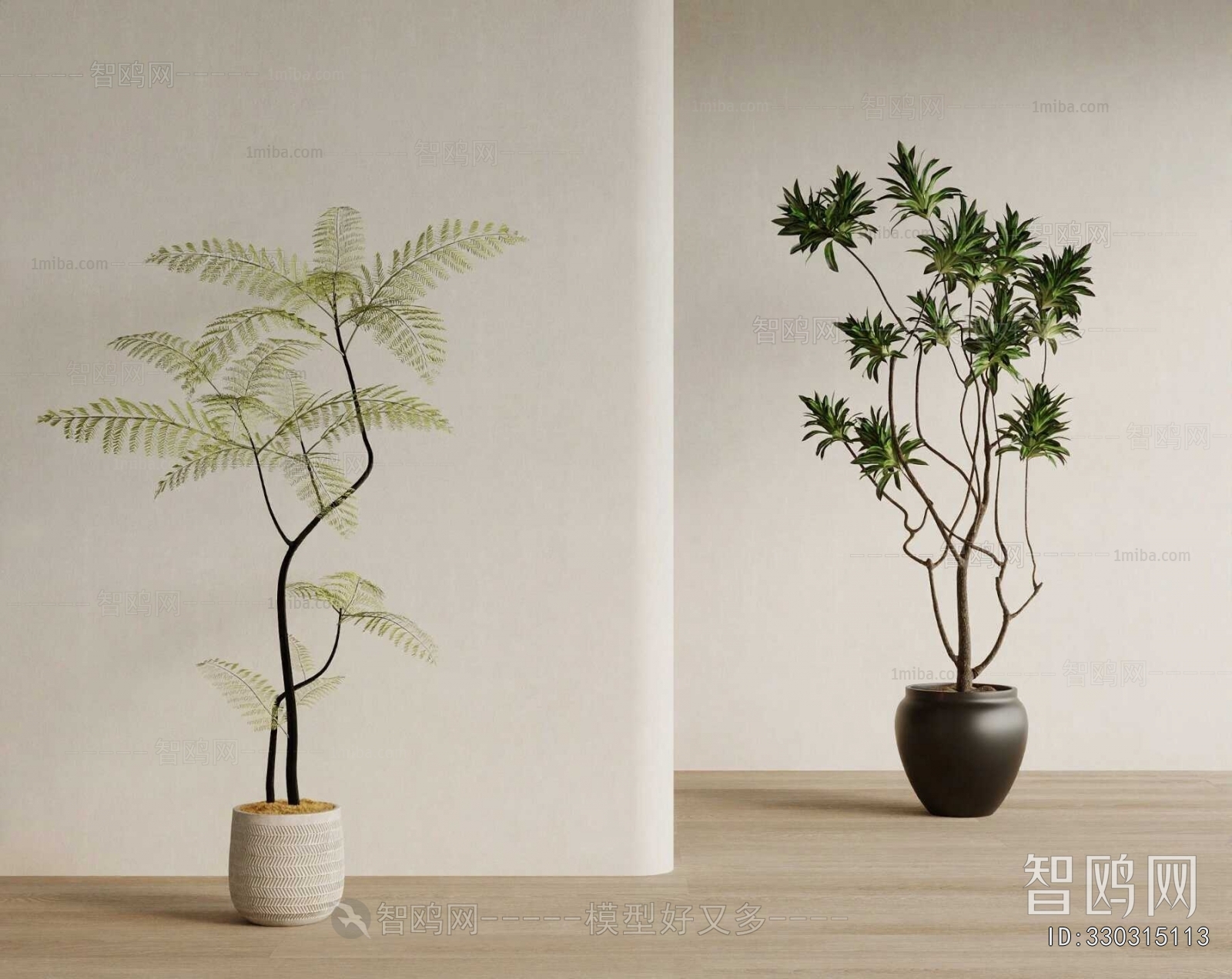 Wabi-sabi Style Ground Green Plant Potted Plants