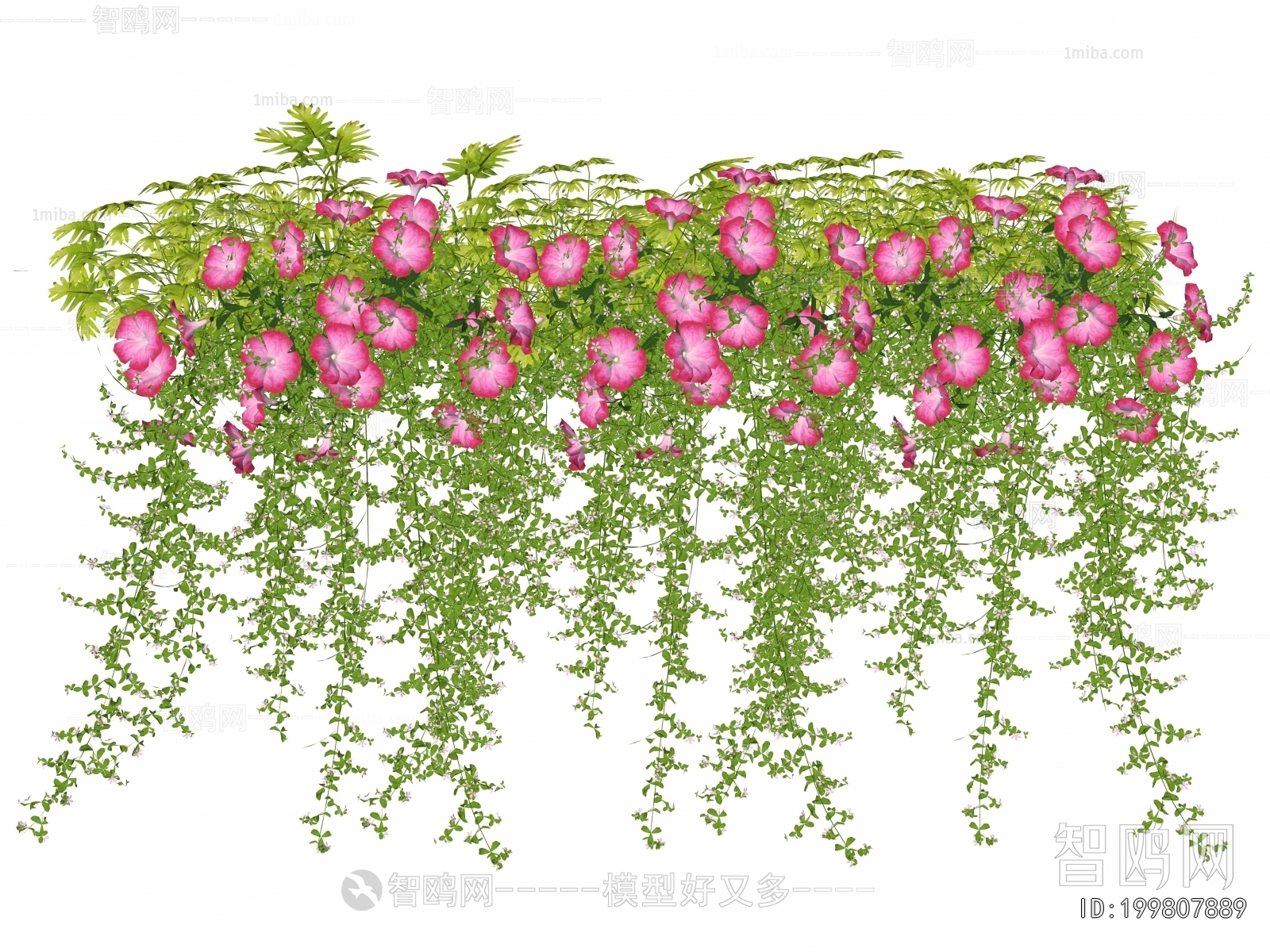 Modern Flowers And Grass