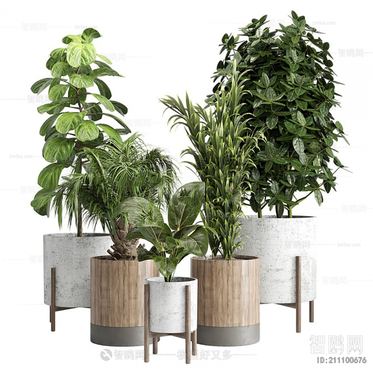 Modern Ground Green Plant Potted Plants