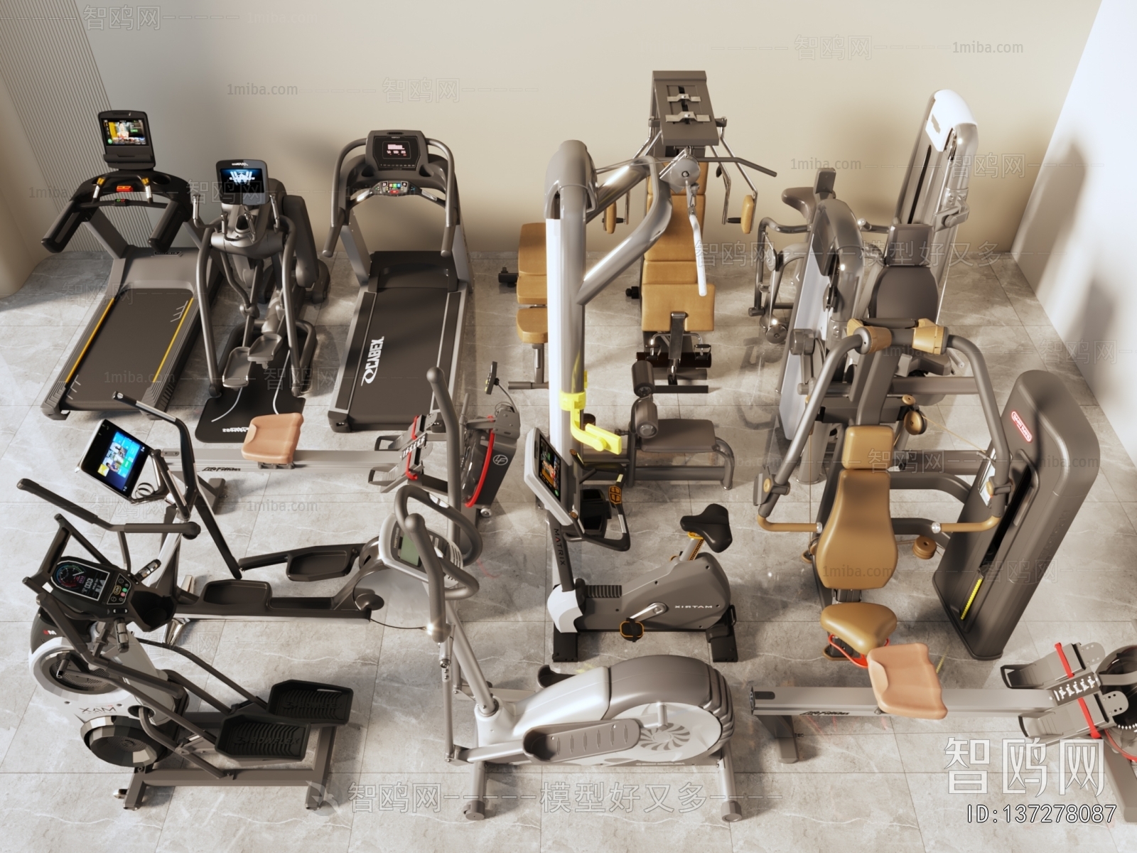 Modern Fitness Equipment