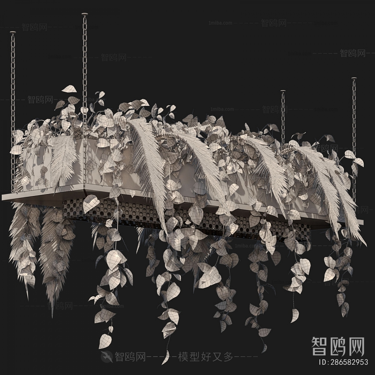 Modern Chlorophytum Comosum