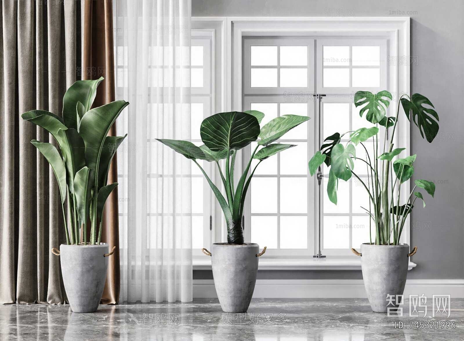 Modern Ground Green Plant Potted Plants