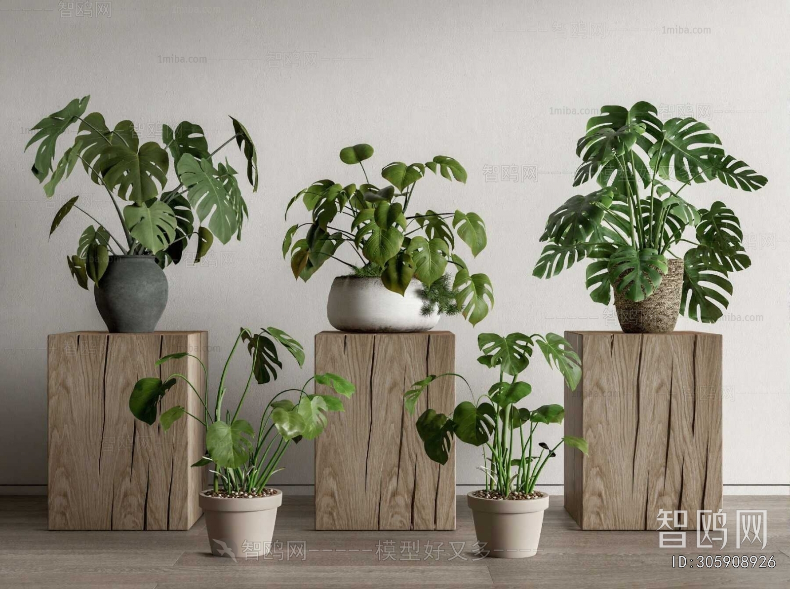 Modern Ground Green Plant Potted Plants