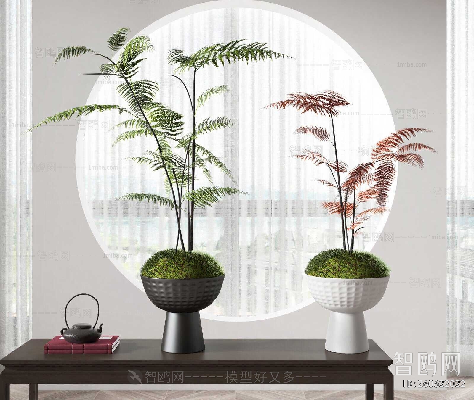 Modern Potted Green Plant