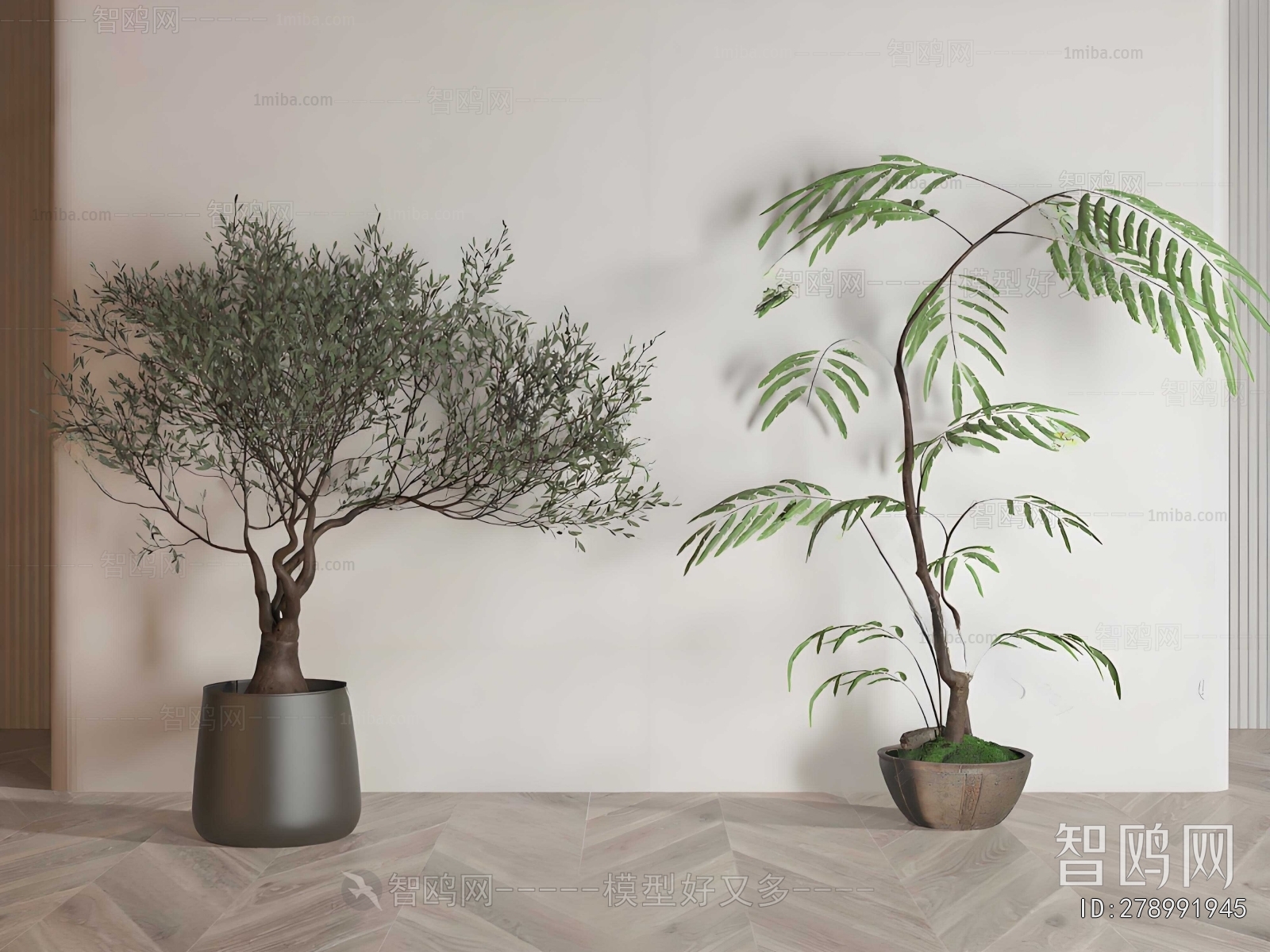 Modern Ground Green Plant Potted Plants