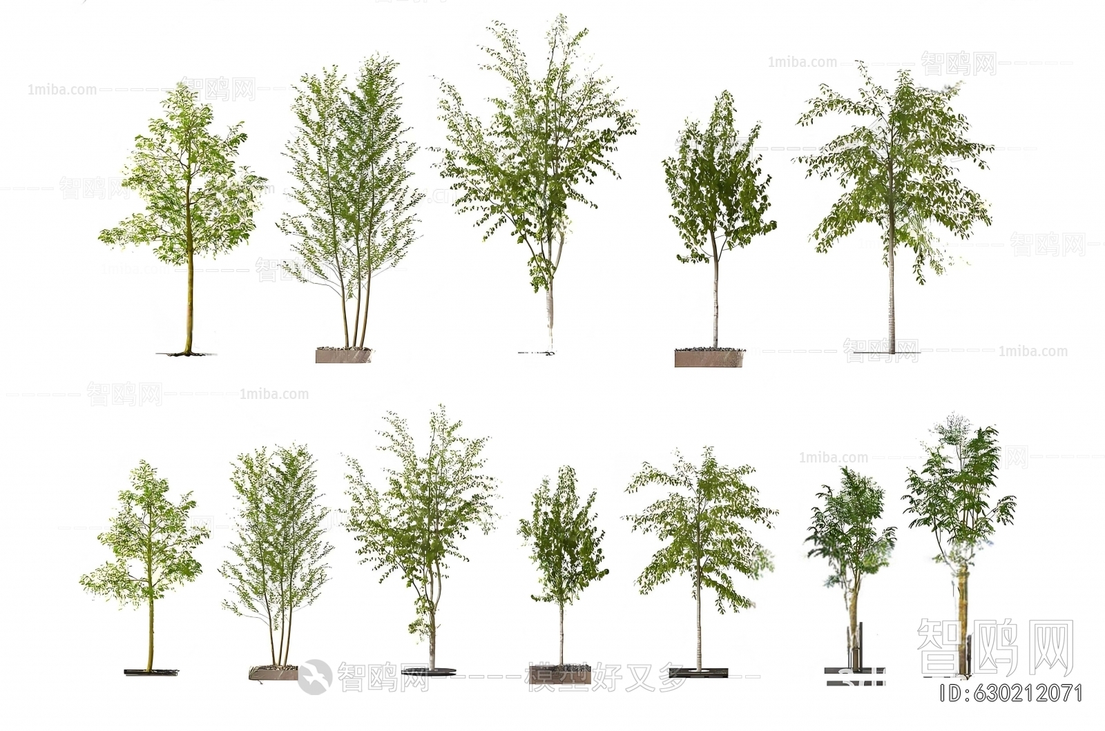 Modern Ground Green Plant Potted Plants