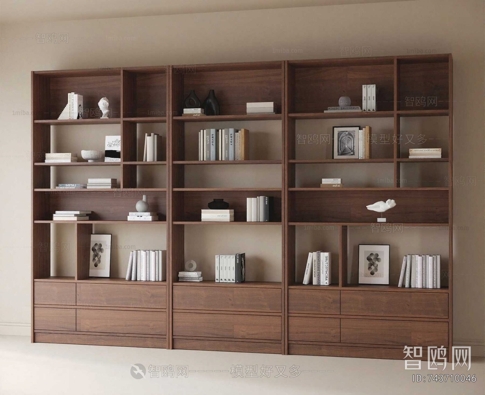 Modern Bookcase