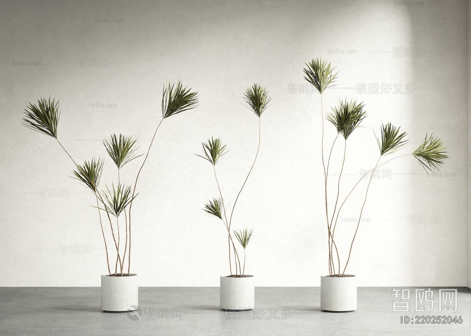 Modern Ground Green Plant Potted Plants