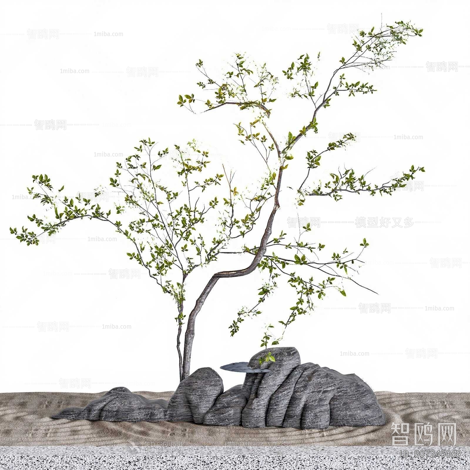 Modern Plant Landscaping