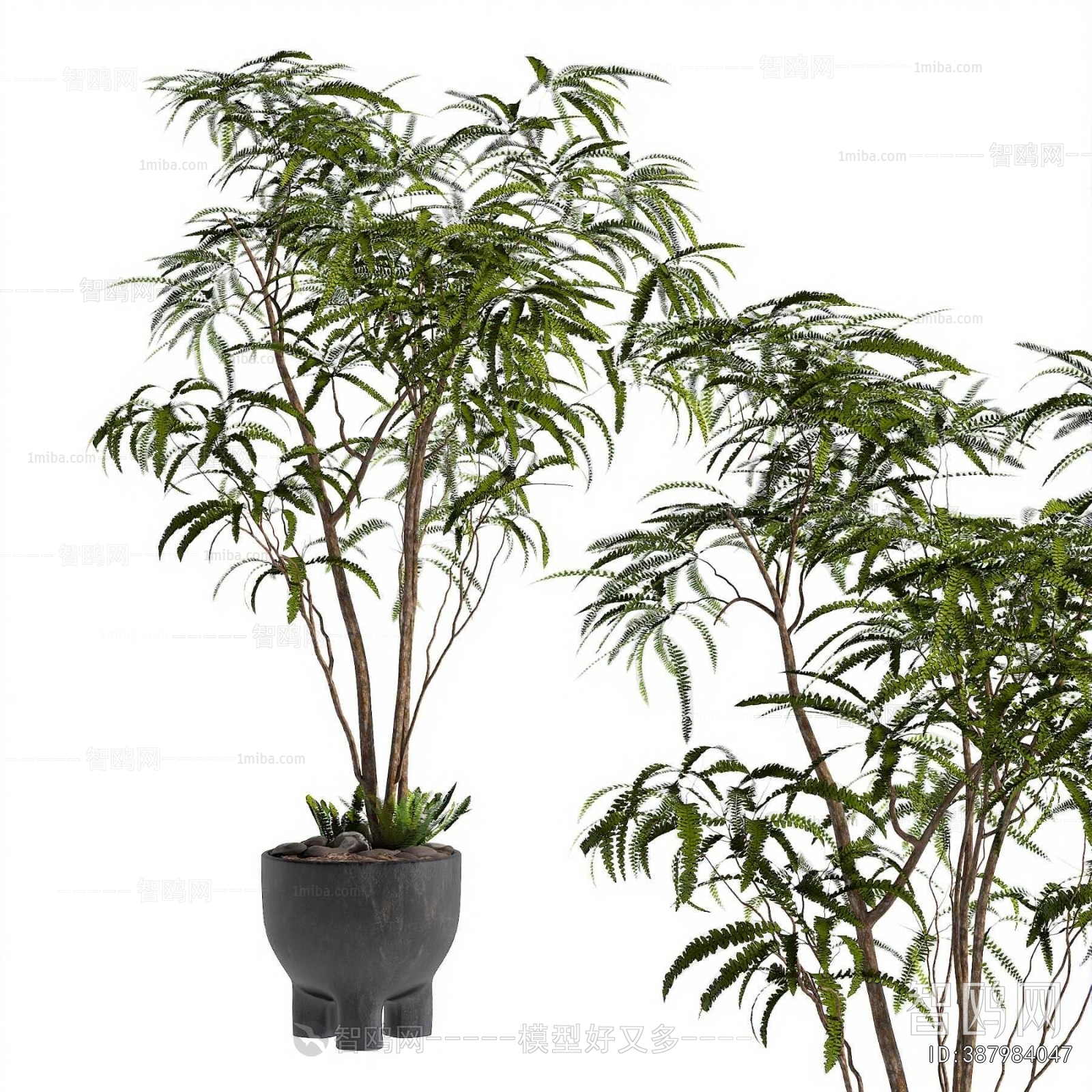 Modern Ground Green Plant Potted Plants