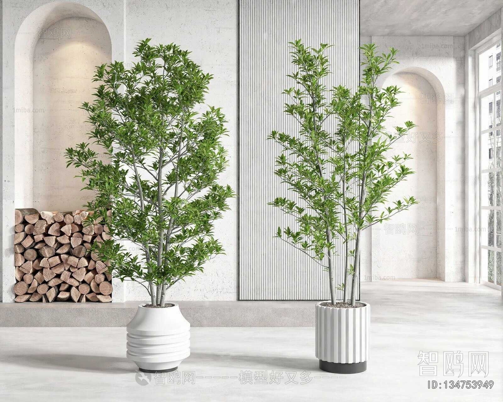 Modern Ground Green Plant Potted Plants