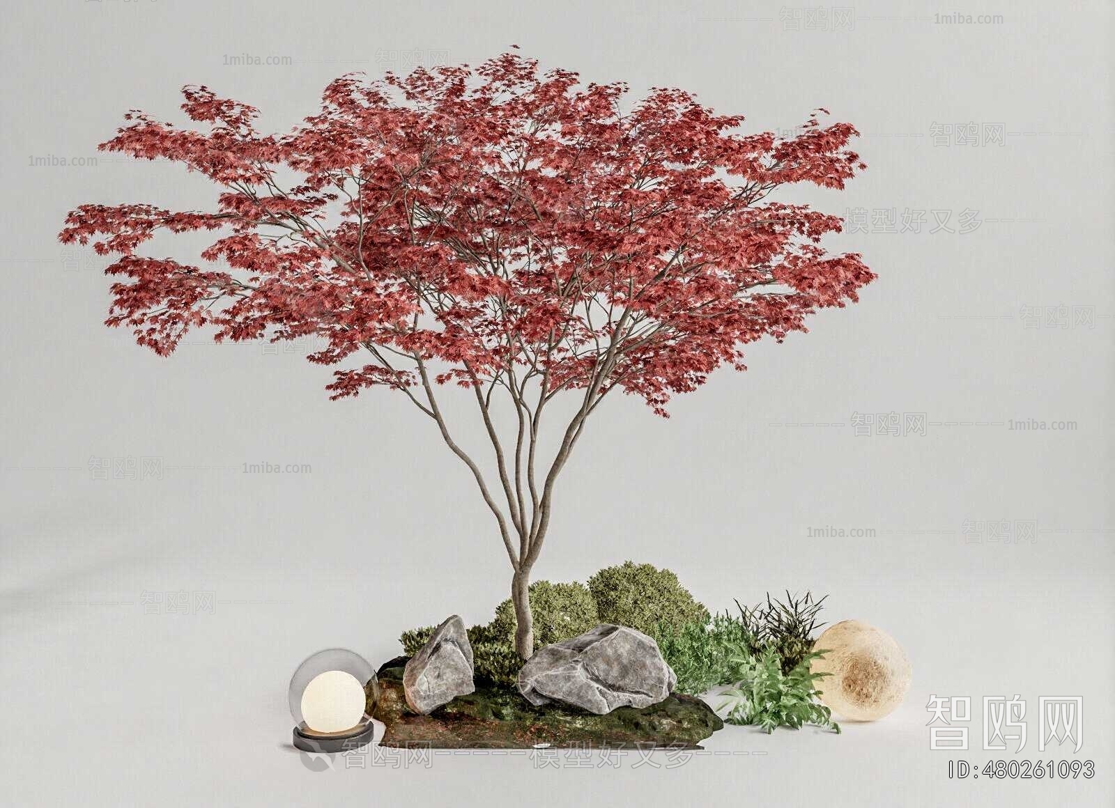 Modern Plant Landscaping