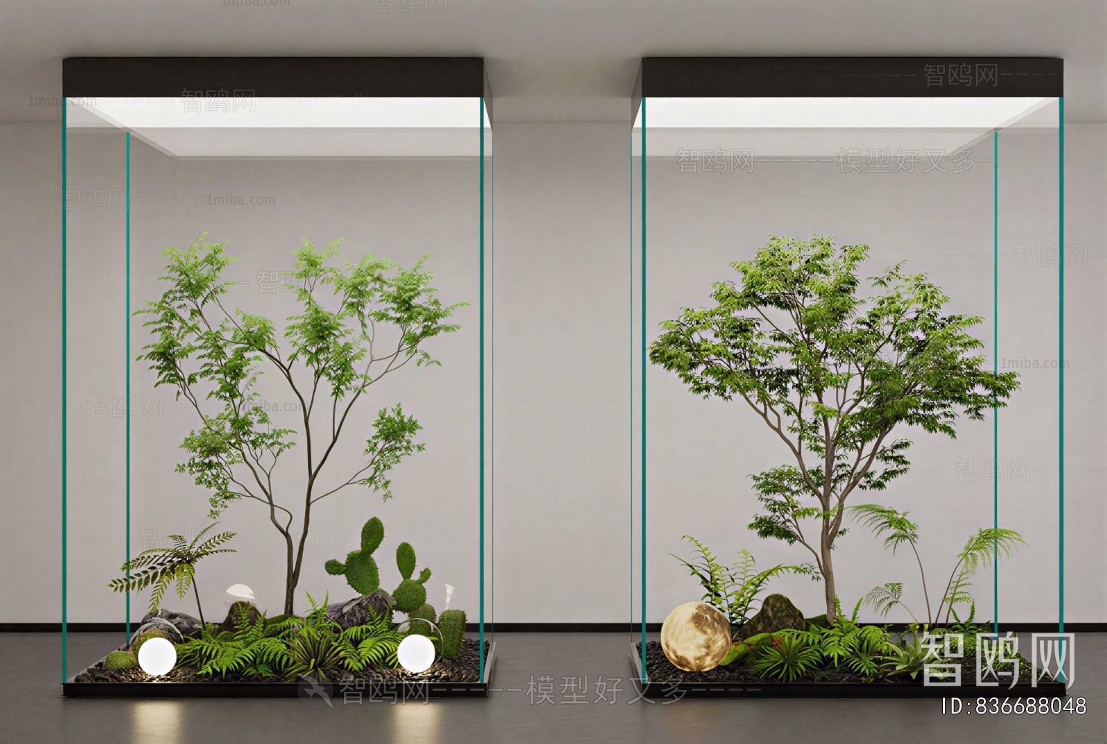 Modern Plant Landscaping