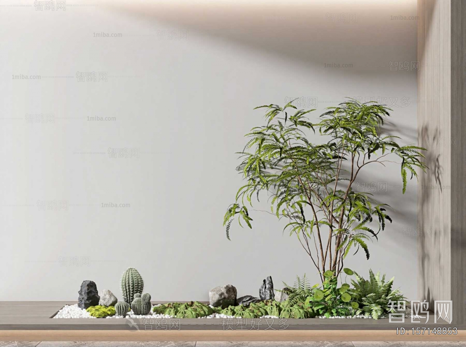 Modern Plant Landscaping