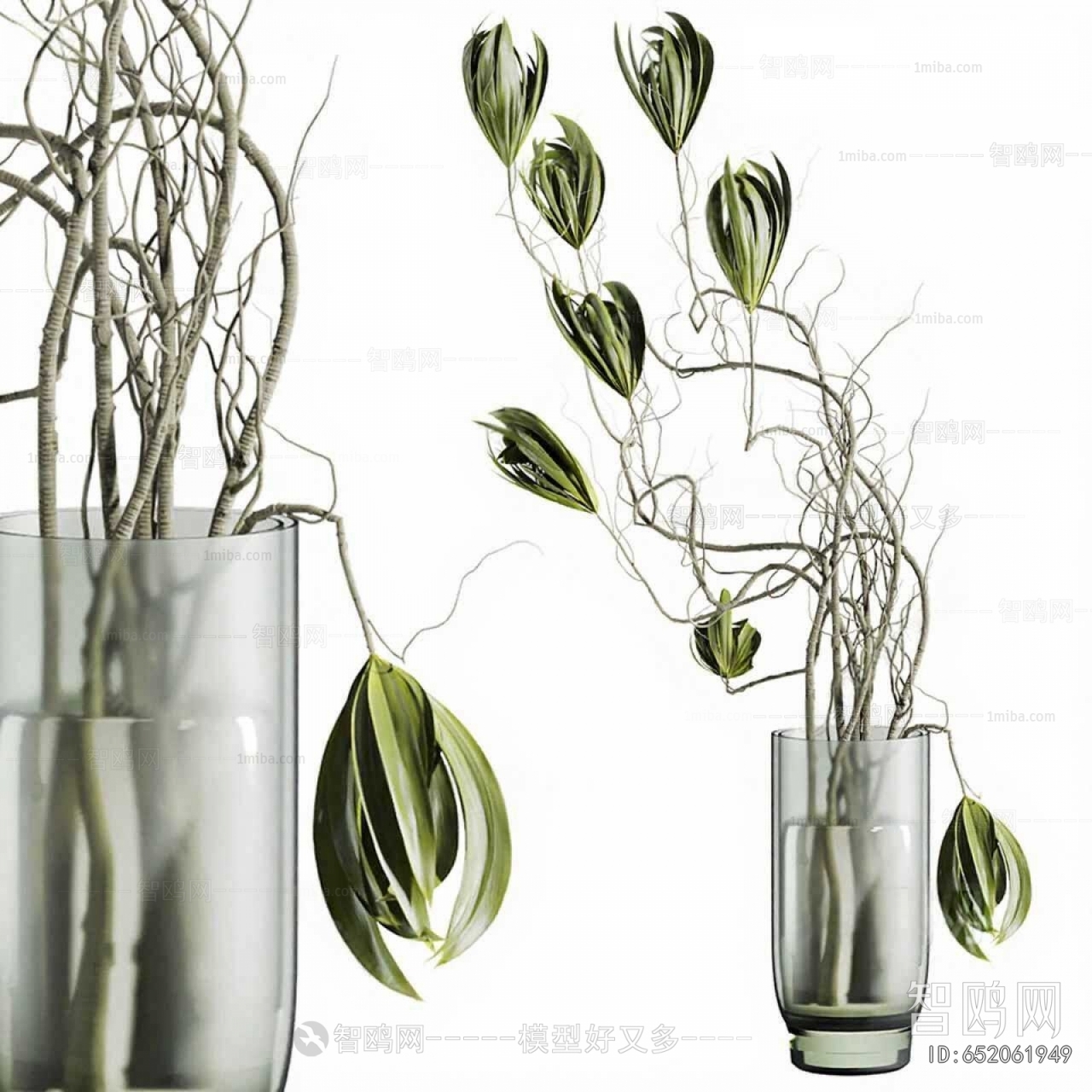 Modern Aquatic Green Plant