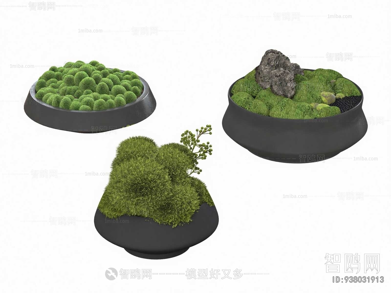 Modern Potted Green Plant