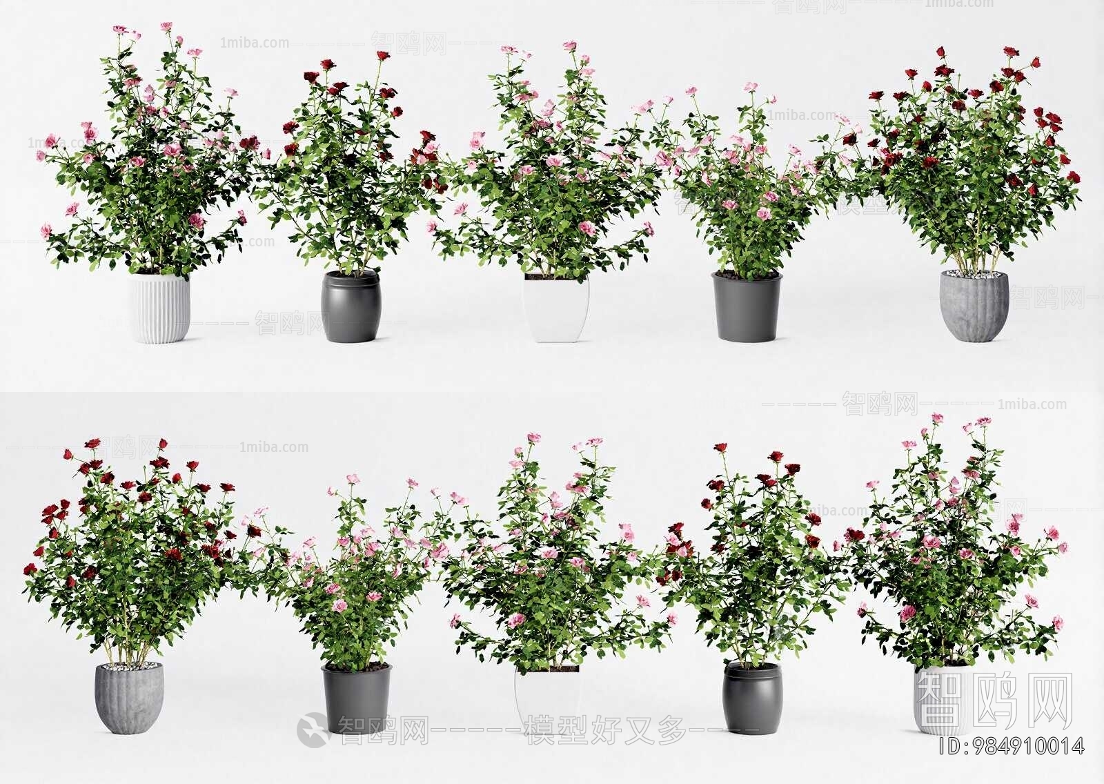 Modern Ground Green Plant Potted Plants
