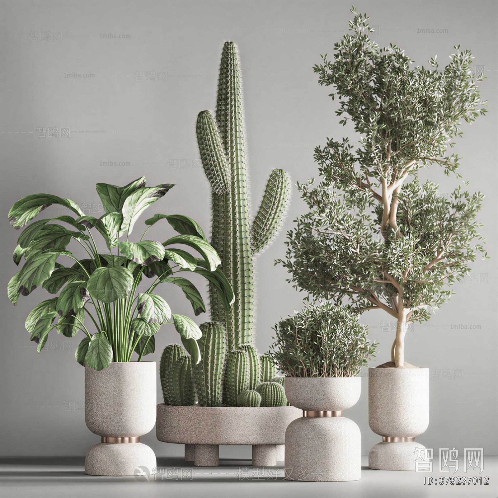 Modern Ground Green Plant Potted Plants