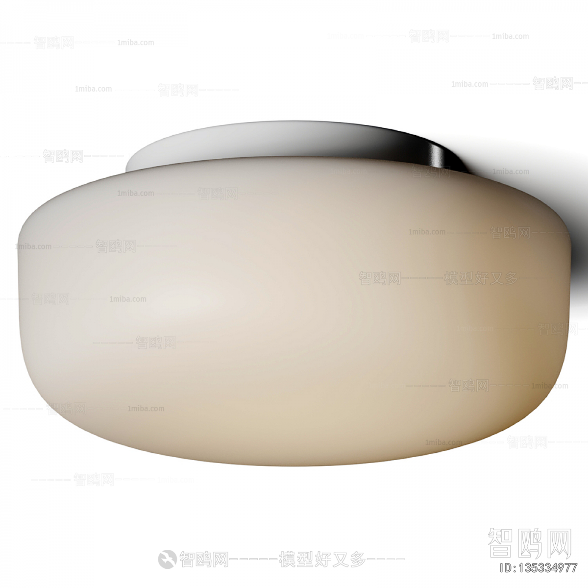 Modern Ceiling Ceiling Lamp
