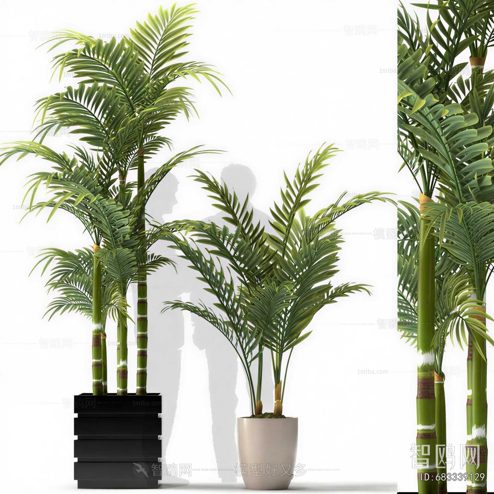 Modern Ground Green Plant Potted Plants