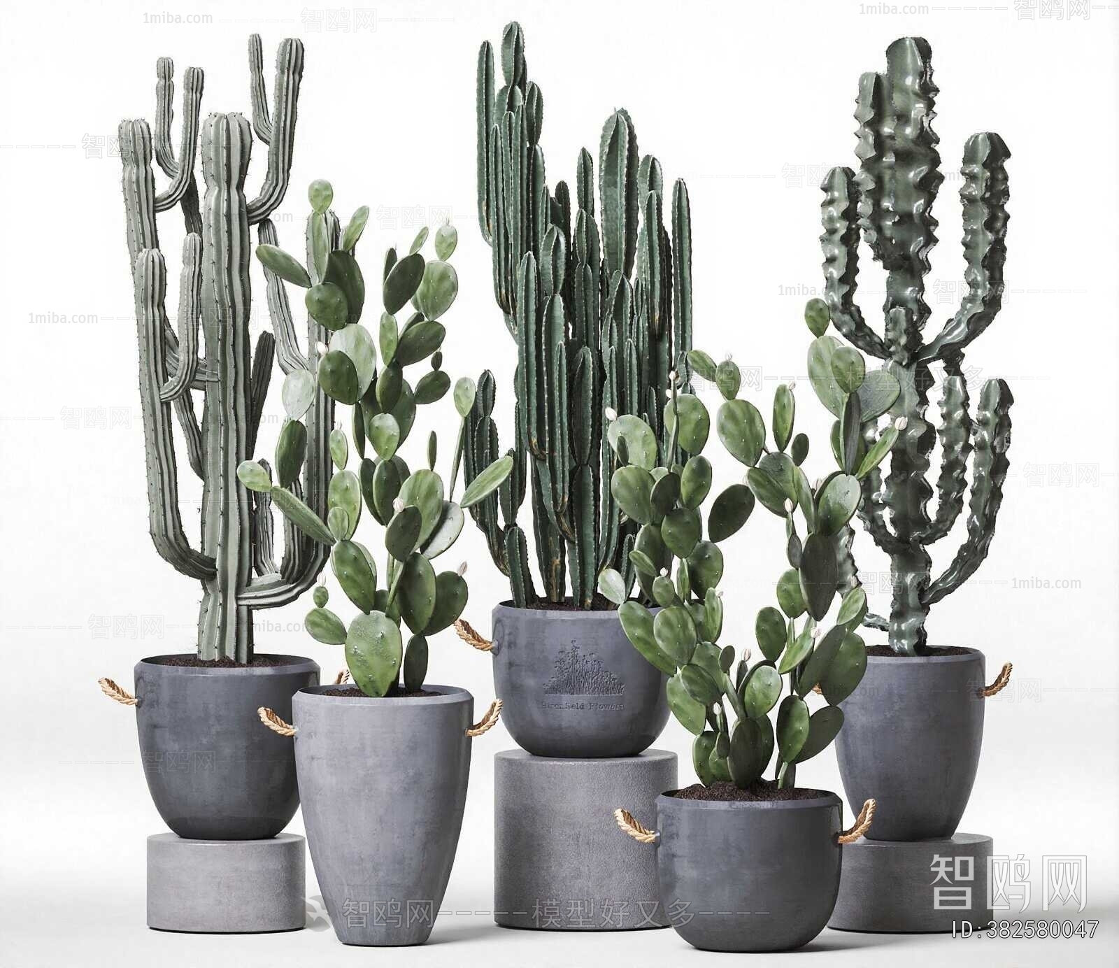 Modern Ground Green Plant Potted Plants