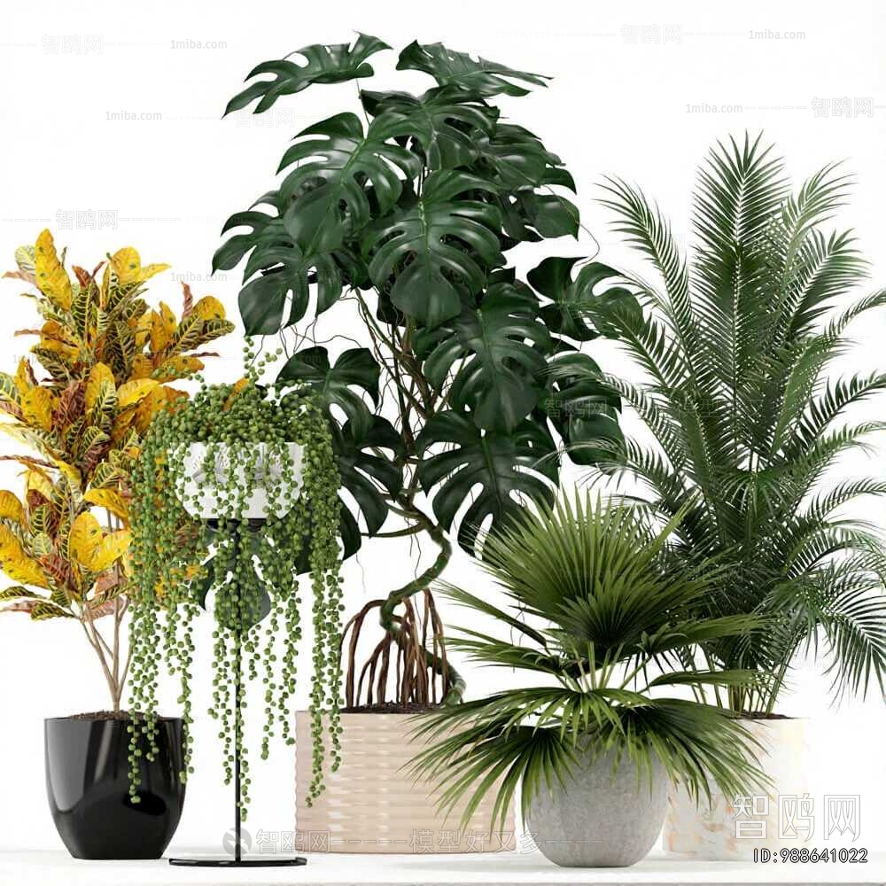 Modern Ground Green Plant Potted Plants