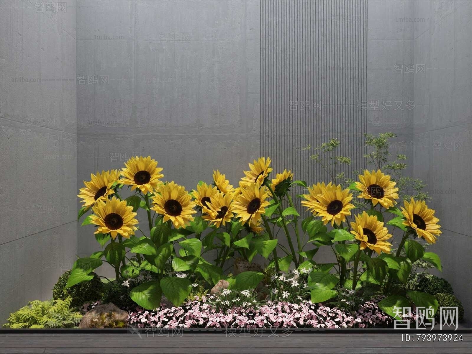 Modern Plant Landscaping