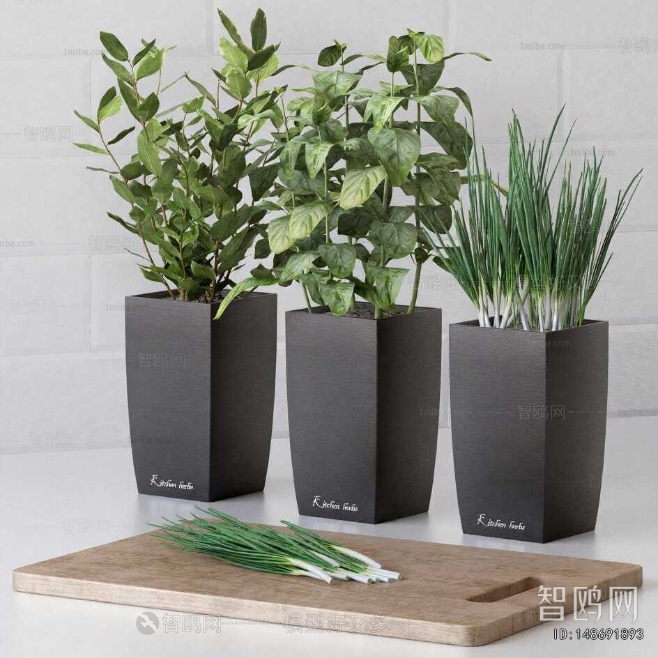 Modern Flower Bed, Flower Bowl, Flower Box