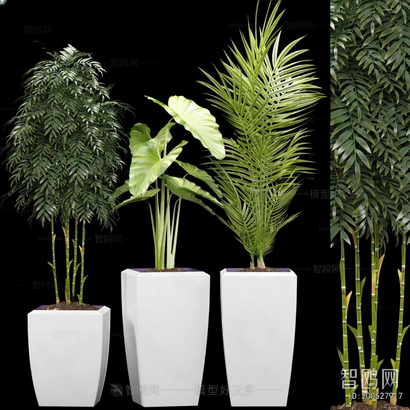 Modern Ground Green Plant Potted Plants