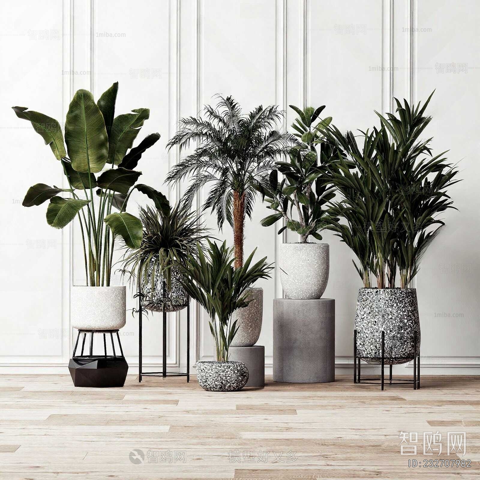 Modern Ground Green Plant Potted Plants