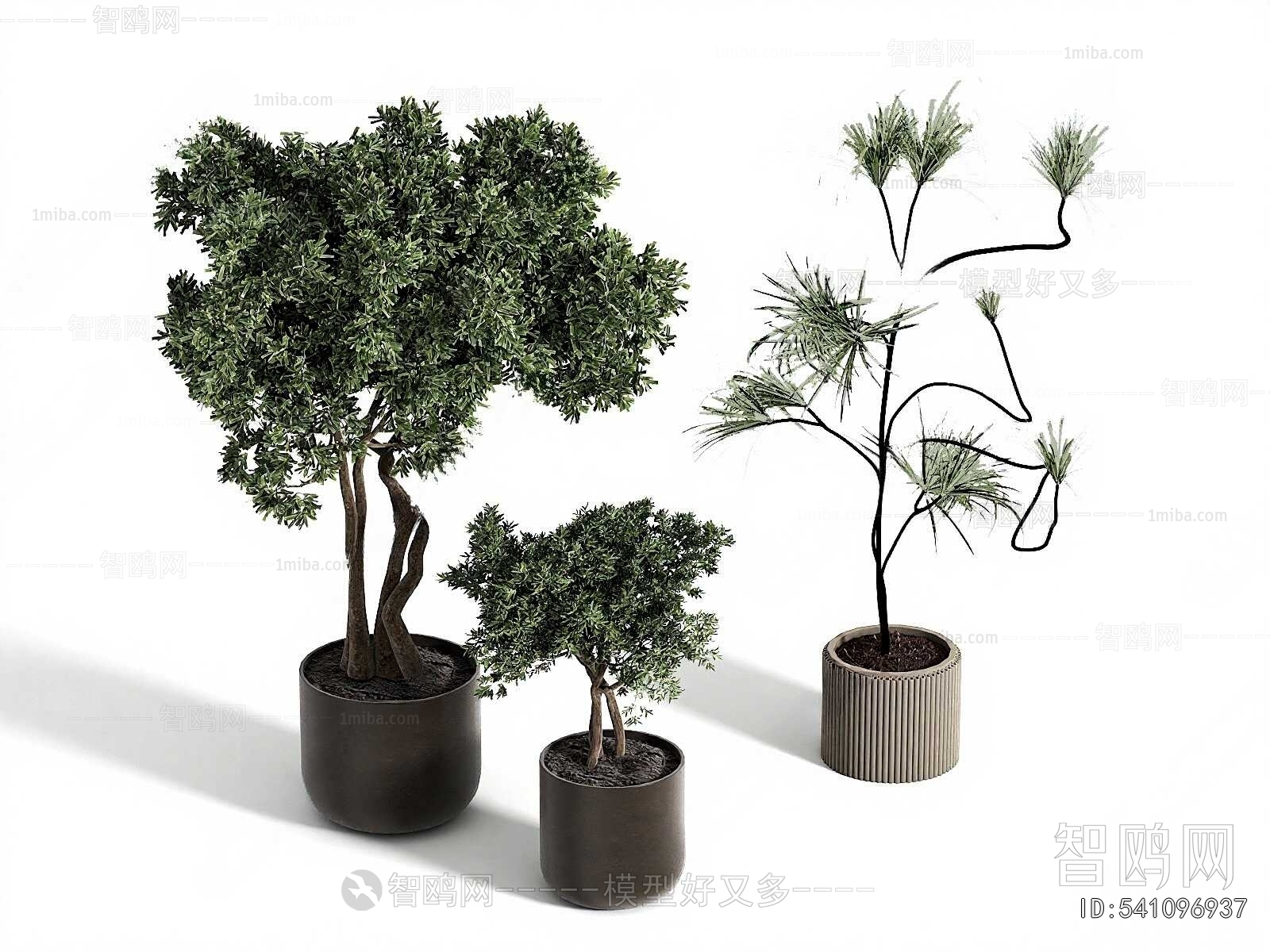 Modern Ground Green Plant Potted Plants