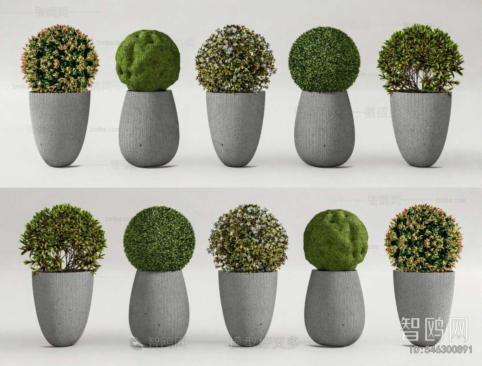 Modern Flower Bed, Flower Bowl, Flower Box