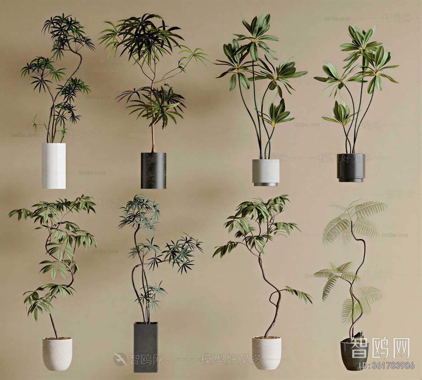 Modern Ground Green Plant Potted Plants