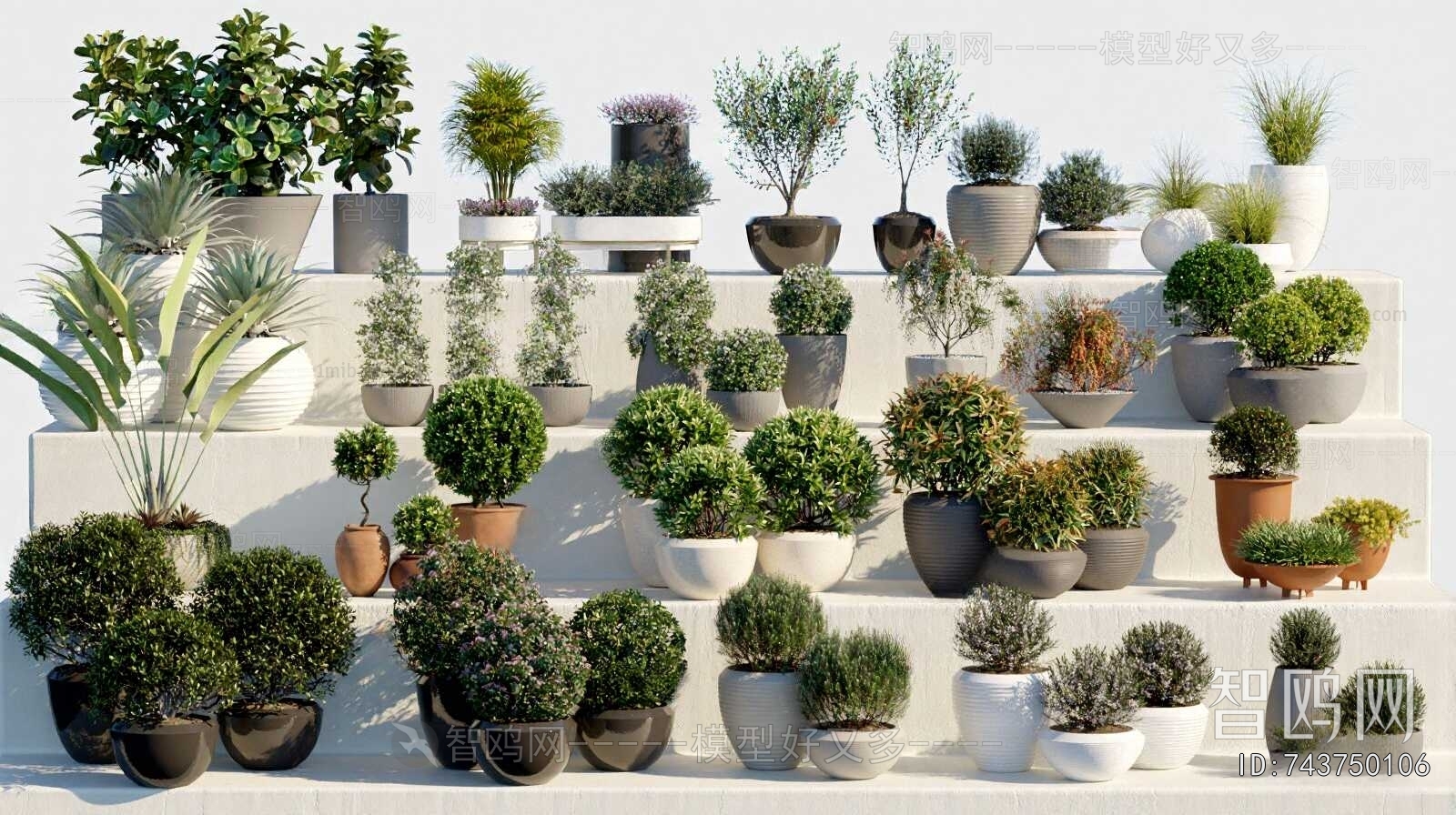 Modern Flower Bed, Flower Bowl, Flower Box