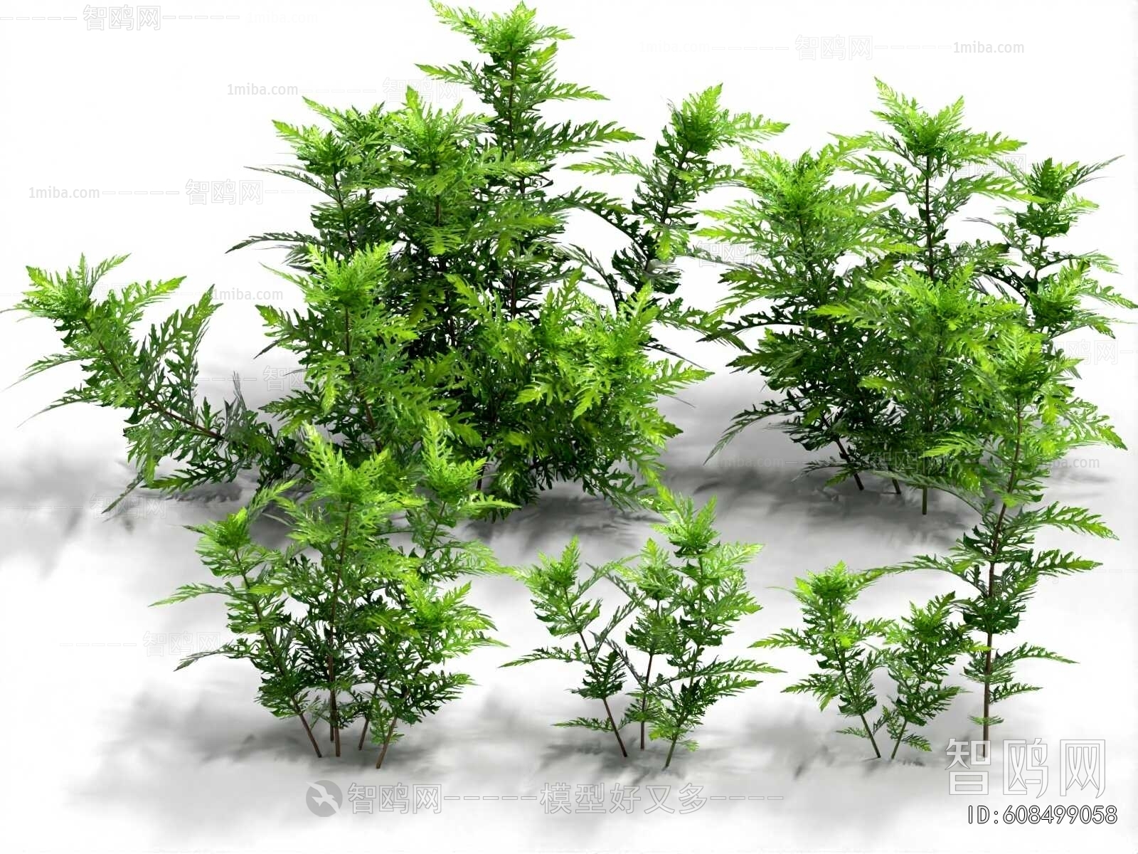 Modern Aquatic Green Plant