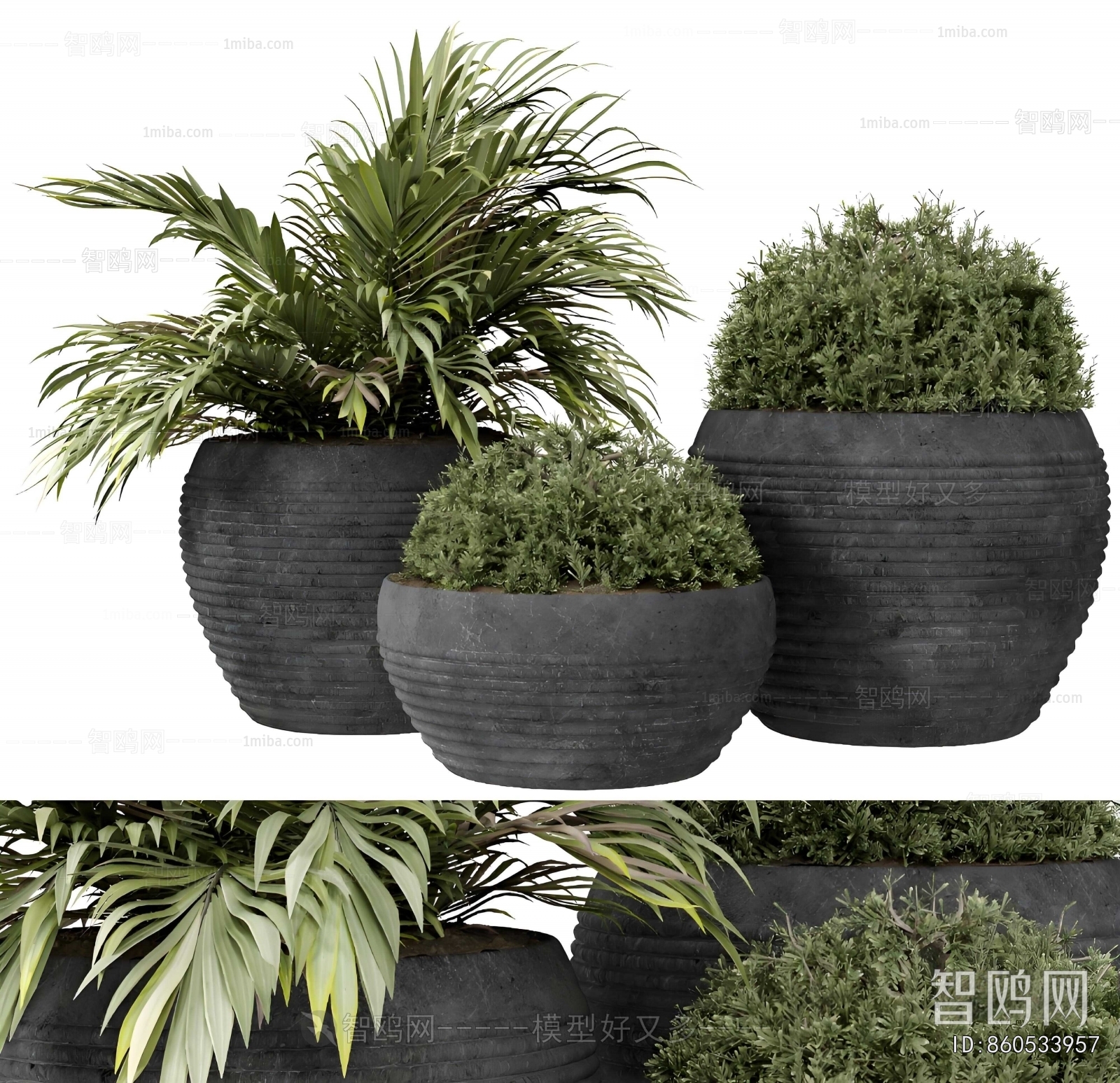 Modern Flower Bed, Flower Bowl, Flower Box
