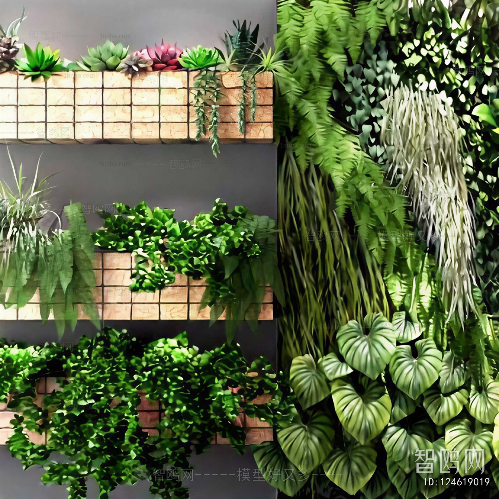 Modern Chlorophytum Comosum