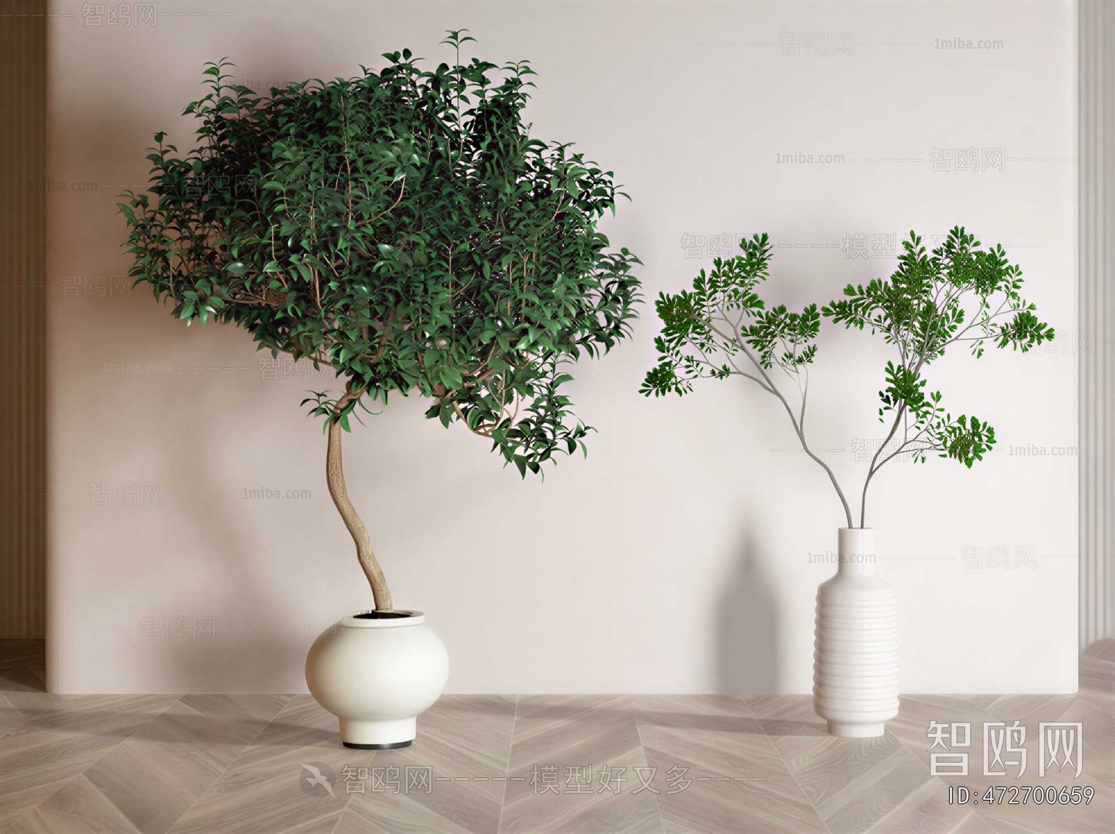 Modern Ground Green Plant Potted Plants