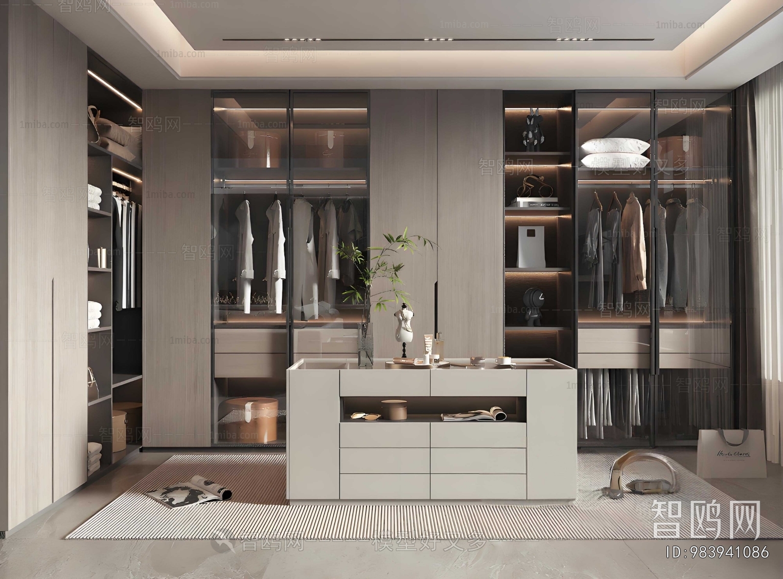 Modern Clothes Storage Area